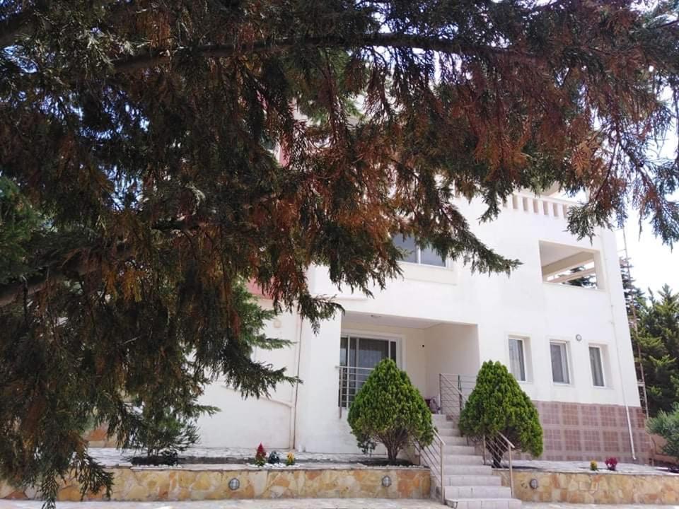 Treasures B&B Paloukia 외부 사진