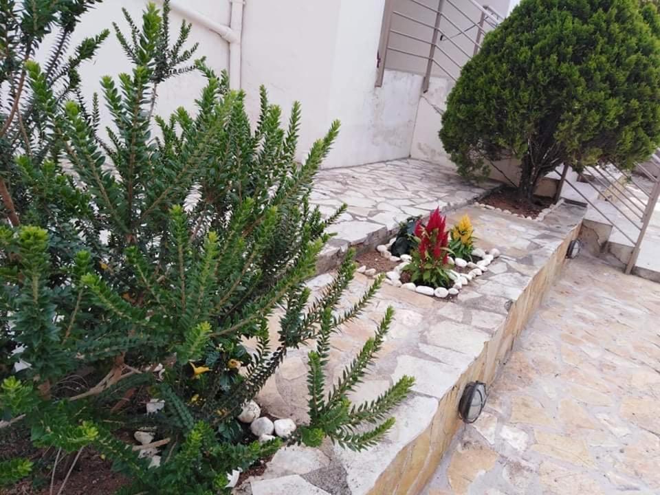 Treasures B&B Paloukia 외부 사진