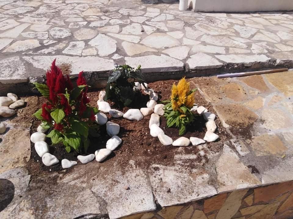Treasures B&B Paloukia 외부 사진